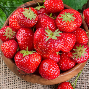 Клубника ремонтантная (крупноплодная) Флорентина 5 шт. в упаковке