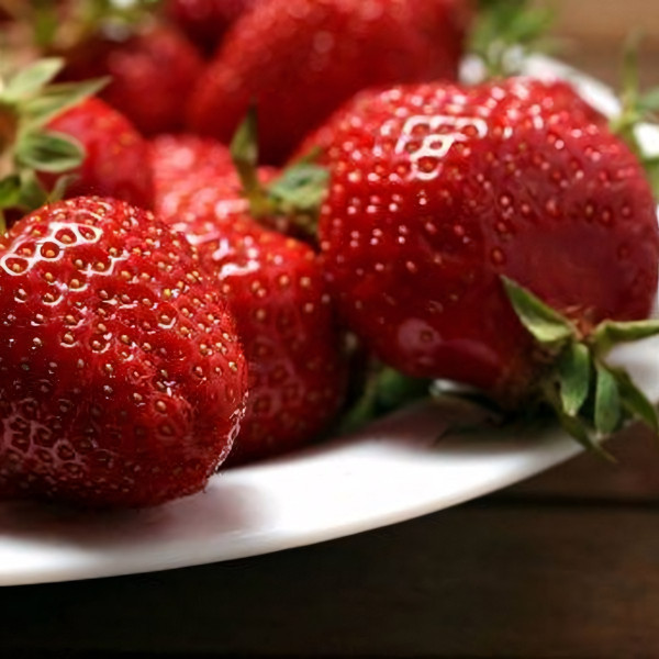 Саженцы Земляника Лорд  (упаковка 5 шт.)