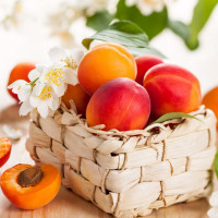 Саженцы Абрикос Спринг Блаш