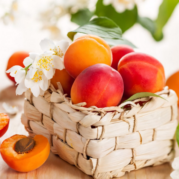 Саженцы Абрикос Спринг Блаш