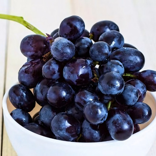 Саженцы Виноград Блэк Гранд