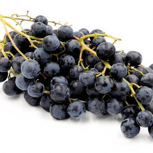 Саженцы Виноград кишмиш черный