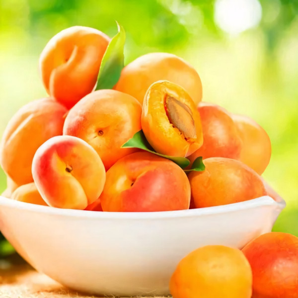 Саженцы Абрикос Аврора