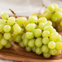 Саженцы Виноград белый Мускат Оттонель