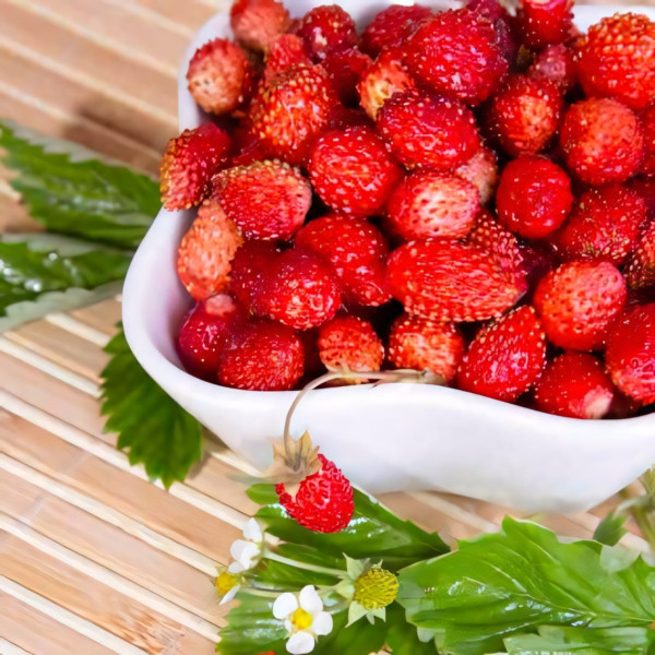 Клубника (мелкоплодная) Регина 5 шт. в упаковке