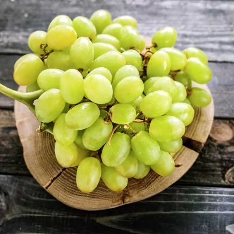 Саженцы Виноград Светлана