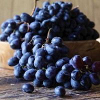 Саженцы Виноград Богатырь