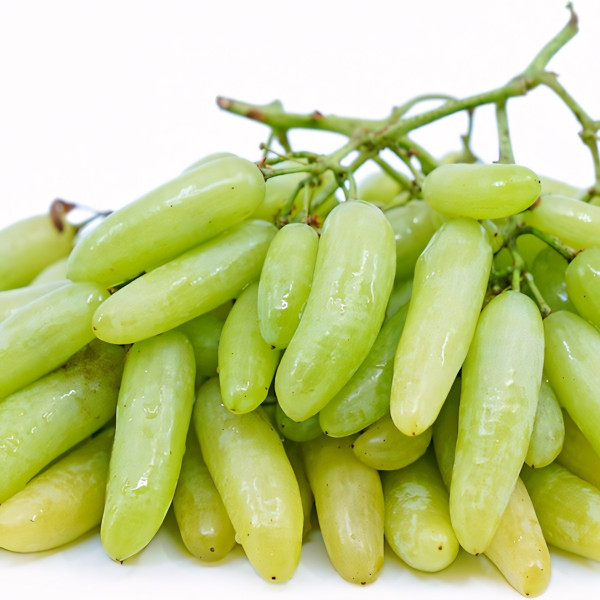 Саженцы Виноград кишмиш Ламборджини