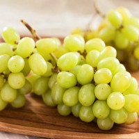 Саженцы Виноград Лора