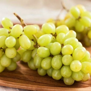 Саженцы Виноград Лора