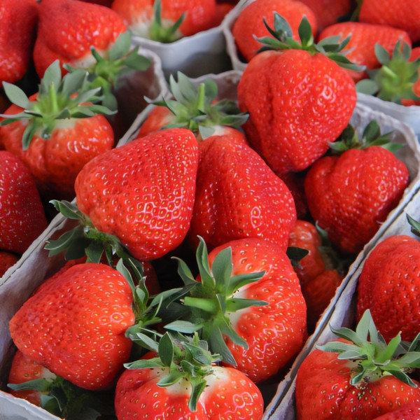 Клубника (крупноплодная) Флер 5 шт. в упаковке