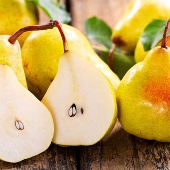 Саженцы Груша Декора