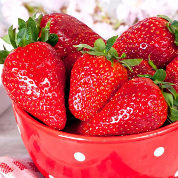 Клубника (крупноплодная) Гигантский деликатес 5 шт. в упаковке