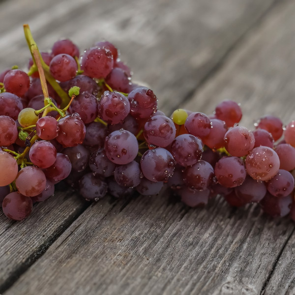 Саженцы Виноград кишмиш красный