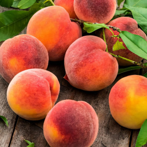 Саженцы Персик колоновидный Штайнберг