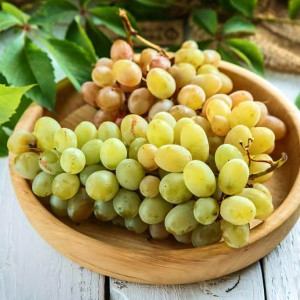 Саженцы Виноград Ляна