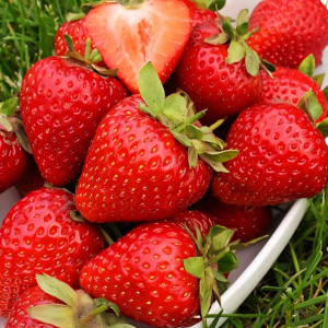 Клубника (крупноплодная) Грандароза 5 шт. в упаковке