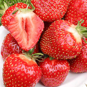 Клубника (крупноплодная) Кент 5 шт. в упаковке