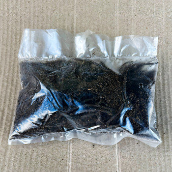 Саженцы Хоста Behemoth (Бегемот) XL