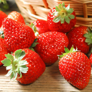 Клубника ремонтантная (крупноплодная) Иришка 5 шт. в упаковке