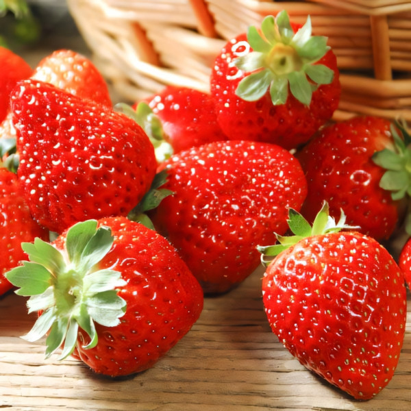 Клубника ремонтантная (крупноплодная) Иришка 5 шт. в упаковке