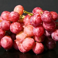 Саженцы Виноград Кинг Руби