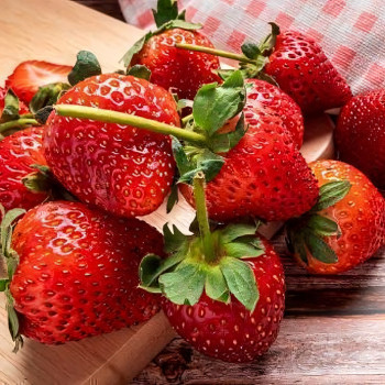 Клубника  Вима Занта  (упаковка 5 шт.)