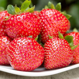 Клубника ремонтантная (крупноплодная) Фурор 5 шт. в упаковке